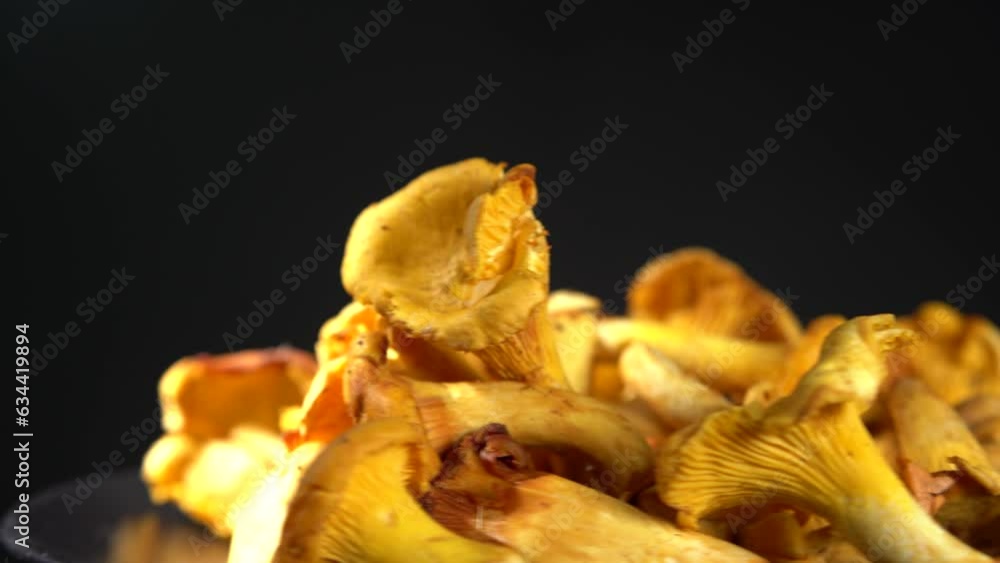 Funghi ruotano nel piatto Funghi ruotano nel piatto
