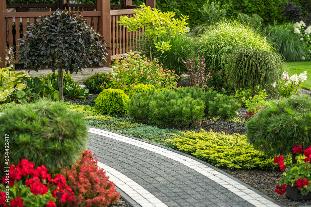 Obraz premium Back Yard Garden Full of Mature Plants and Trees.