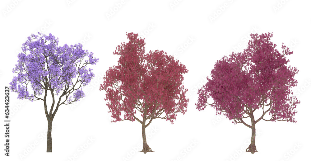 Obraz premium tree purple and pink with flowers isolated on transparent background