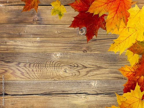 autumn leaves on wooden background