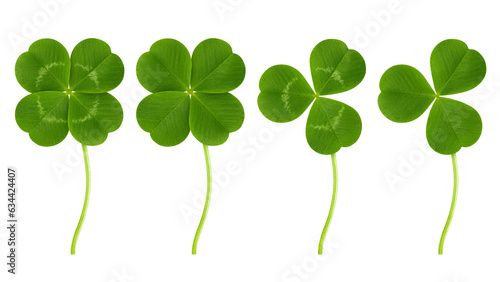 Fototapeta Clover isolated on white background, St. Patrick's Day symbol, full depth of field