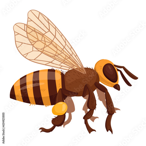 Cartoon flying bee. Honey bee insect, winged cute bumblebee. Striped insect flat vector illustration on white background