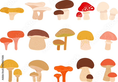 Cartoon forest mushrooms set. Toadstool mushroom, chanterelle, boletus and fungus. Autumn abstract forest wild plants decent vector clipart