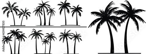 Palm , coconut tree vector set