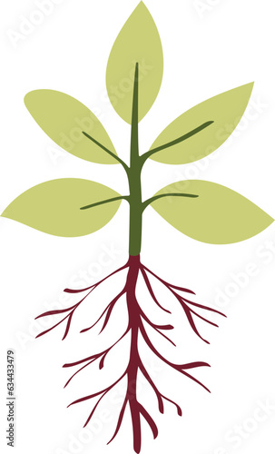 vector of the garden elements