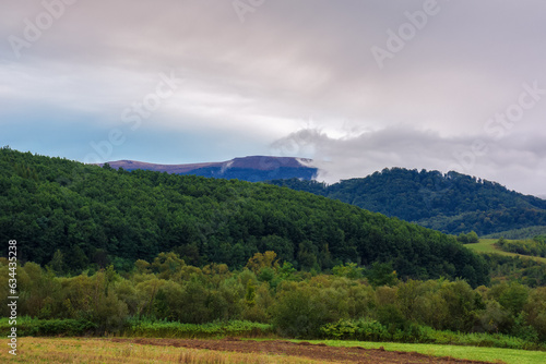 forest on the hill. mountainous rural landscape in autumn. cloudy morning