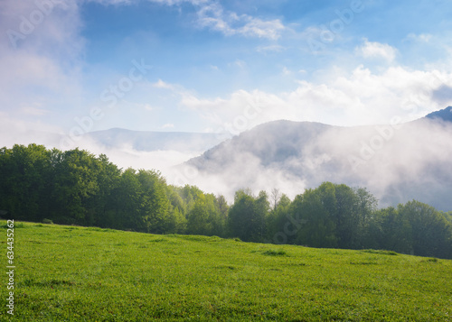 grassy meadow landscape of ukrainian mountains. view in to the distant valley. misty morning