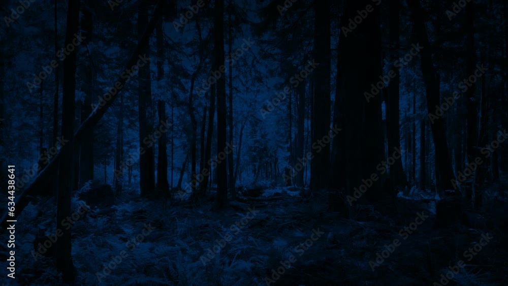 Moonlit Forest Slow Aerial Shot
Moonlit Forest Slow Aerial Shot