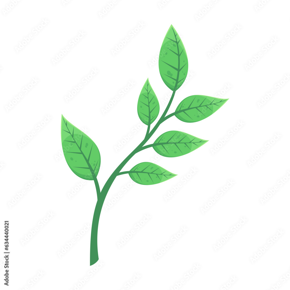 Autumn green leaves flat illustration. Cartoon drawing of floral autumnal element, green leaves, branch. Autumn decoration, nature concept.