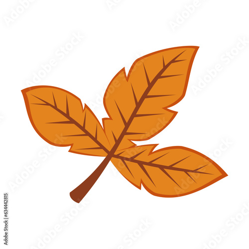 Dry orange leaves on twig isolated on white background. Falling leaves vector illustration. Autumn, season concept