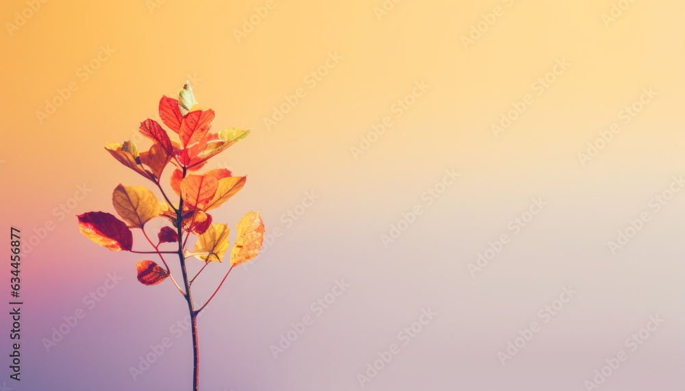 Minimal autumn composition in shades of pastel rainbow colors. Concept of warm and beautiful autumn.