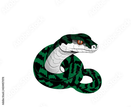 Vector illustration of a green boa constrictor on a white background