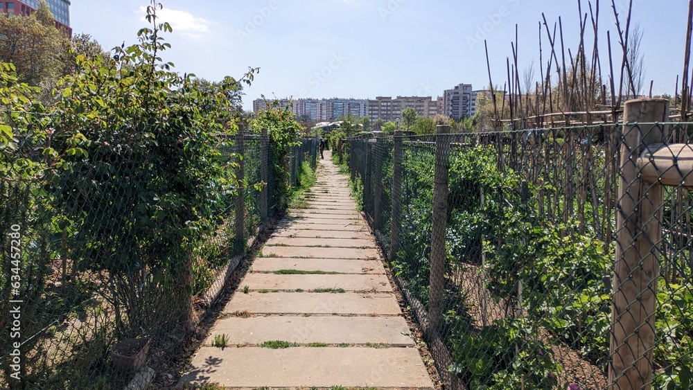 Obraz premium Sidewalk and cottages where people grow organic vegetables and fruits against the backdrop of the city