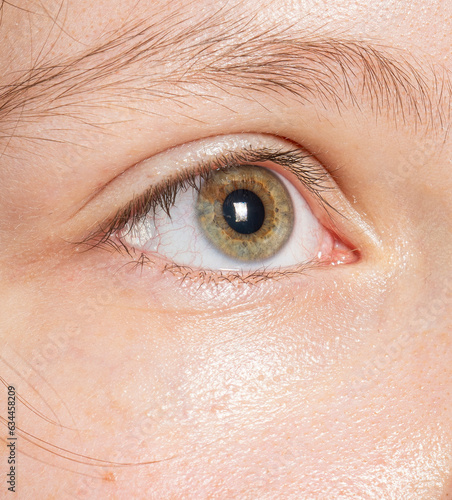 close-up of an eye macro shot