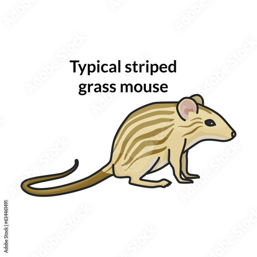 Mouse vector icon.Color vector icon isolated on white background mouse.