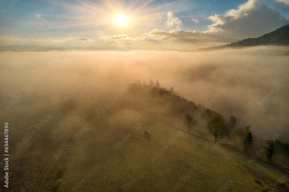 Mountains in clouds at sunrise in summer. Aerial view of mountain peak with green trees in fog. Top view from drone of mountain valley in low clouds
