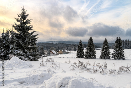 Winter and snow at Filipova Hut, Sumava national park, trees and colorful sky