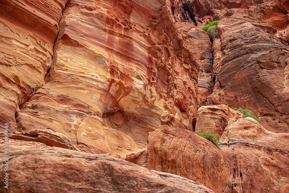 Obraz premium View of the canyon and the high, winding, mountain walls of the canyon. Petra, Jordan