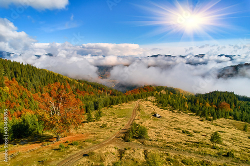 Aerial view of forest in foliage season. Natural green, orange and yellow background.