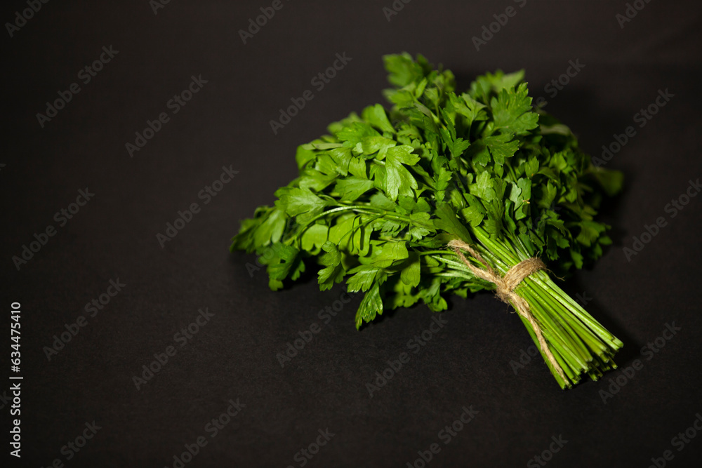 Bunch of green organic parsley on a dark background. Fragrant seasoning for salad or other dishes. Space for text.