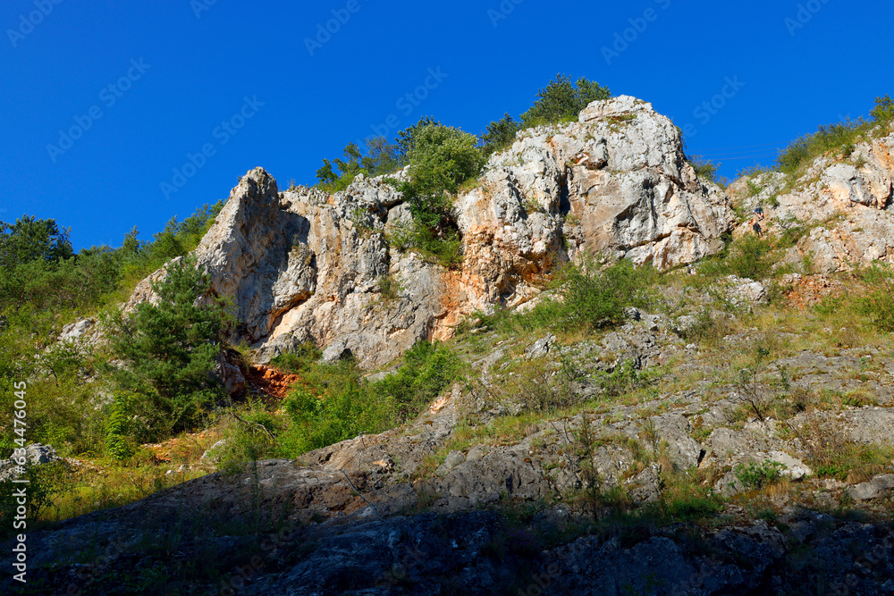 Summer landscape of Vadul Crisului, Transylvania, Romania, Europe
