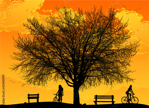 silueta, arbol, bici, banca, atardecer, belleza, grandeza, vector, chica bicicleta