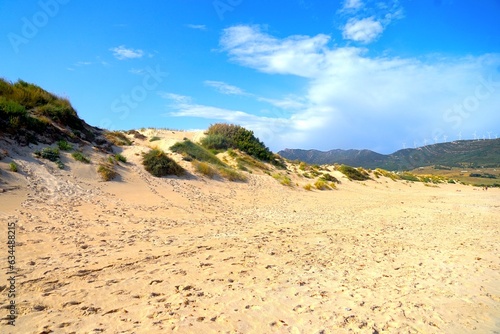 Dunes of Valdevaqueros  sand dunes on the beach at the Atlantic Ocean with the mountains of Andalusia behind  Costa de la Luz  province of C  diz  Spain  Travel  Tourism