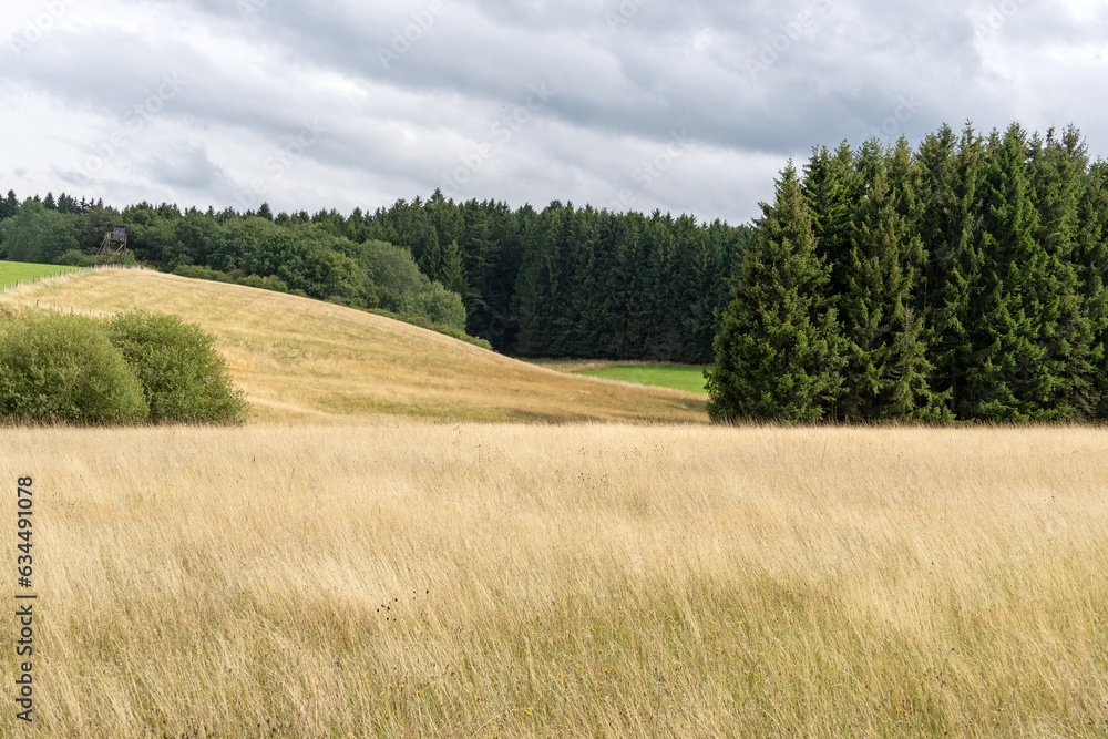 Landschaft bei Nettersheim im Nationalpark Eifel Landschaft bei Nettersheim im Nationalpark Eifel