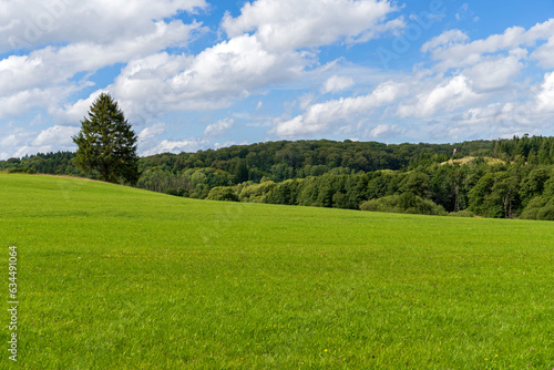 Fototapeta Naklejka Na Ścianę i Meble -  Landschaft bei Nettersheim im Nationalpark Eifel 