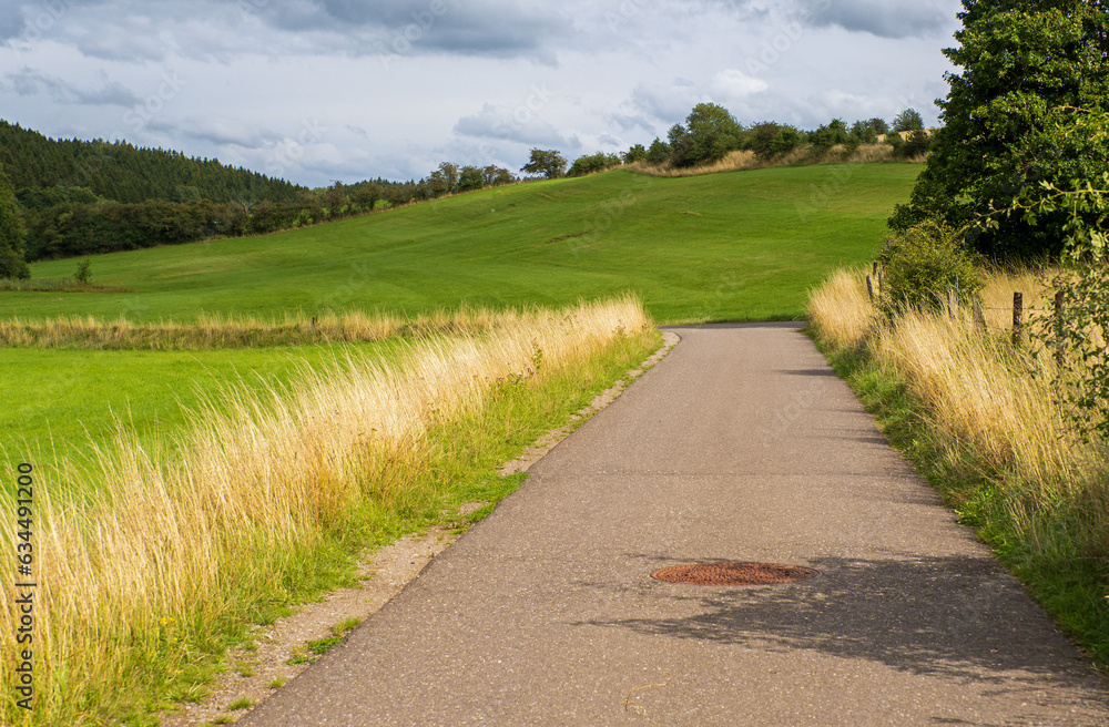 Landschaft bei Nettersheim im Nationalpark Eifel 