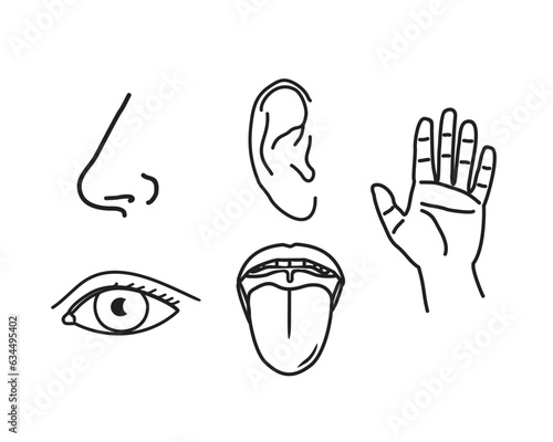 vector set of basic human sensory senses