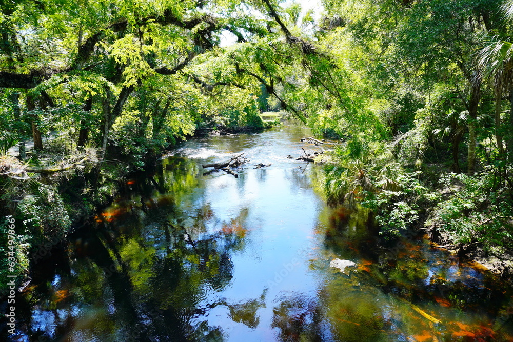 Hillsborough river state park at Tampa, Florida Hillsborough river state park at Tampa, Florida