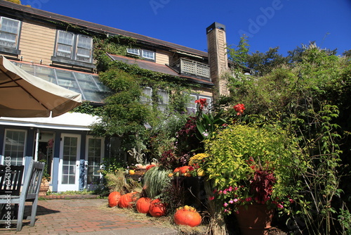 蓼科高原　バラクライングリッシュガーデン｜豊かで爽やかな秋の気配が感じられます
