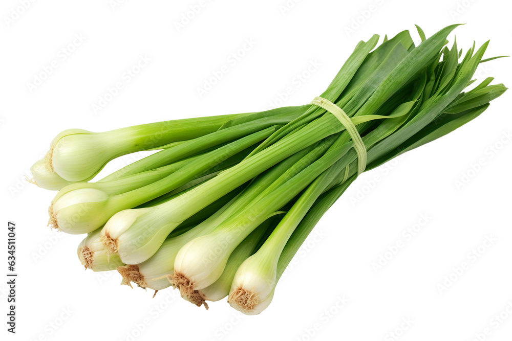 Close-up Bunch of fresh Leeks isolated on transparent or white background PNG Close-up Bunch of fresh Leeks isolated on transparent or white background PNG