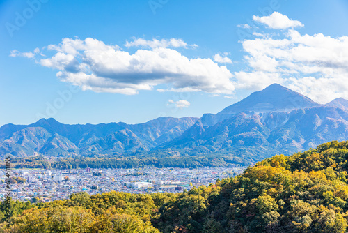 ミューズパークから見た武甲山 © toshi007