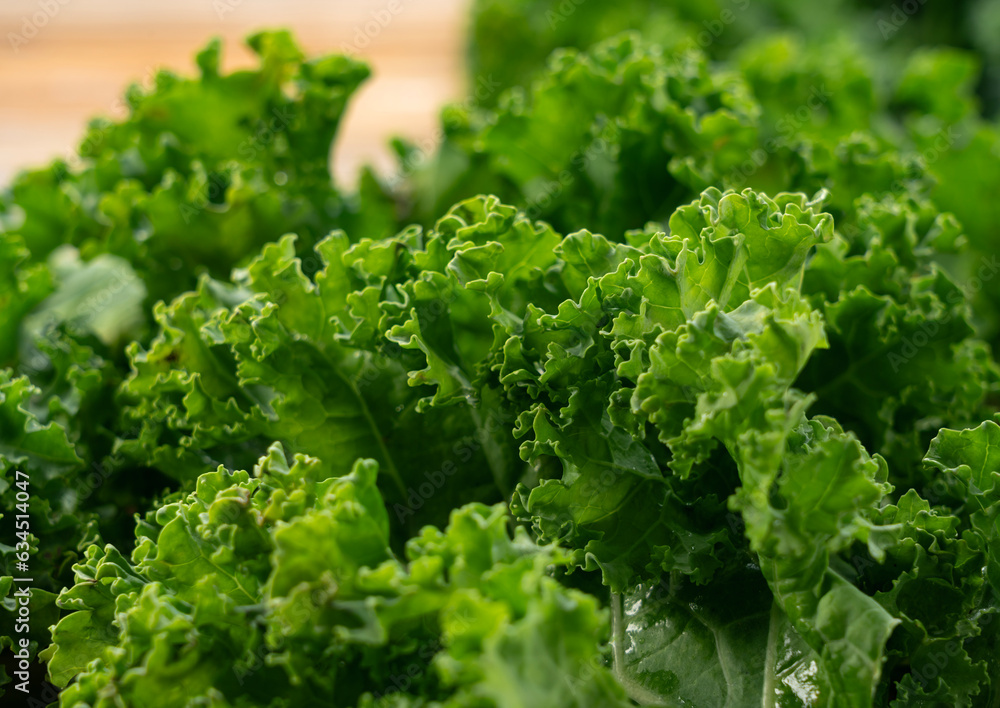Kale placed against a wooden background. curly kale. Kale placed against a wooden background. curly kale.