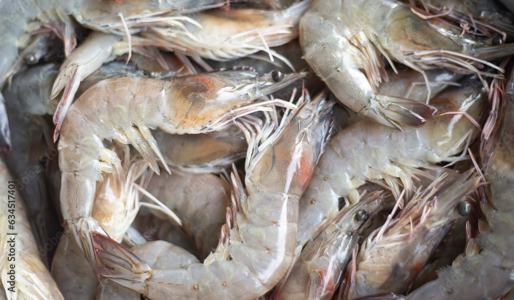 Fresh prawns on ice in seafood market. Shrimp background Fresh prawns on ice in seafood market. Shrimp background