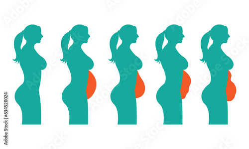 Women belly fat Fat body