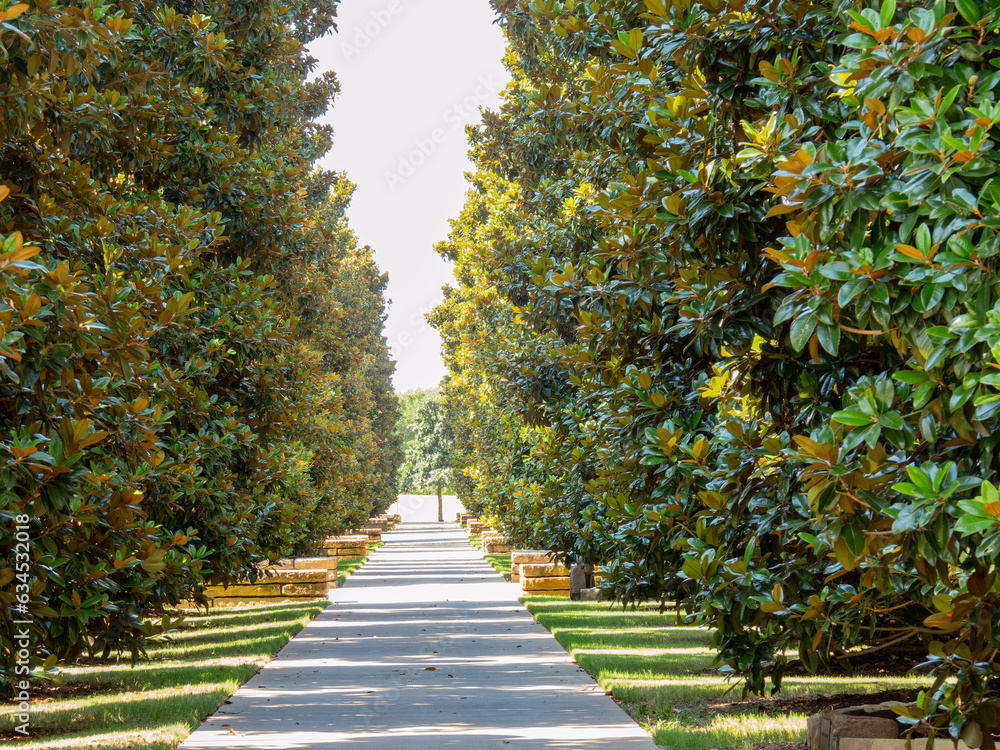 Sunny view of the campus of The University of Texas at Dallas