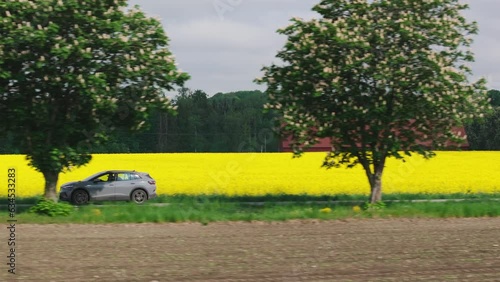 Grey car drives along road lined with canola field and large bushy trees photo