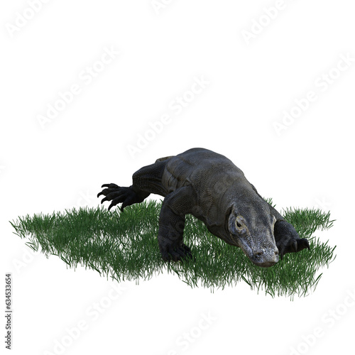 Komodo animal isolated 3d