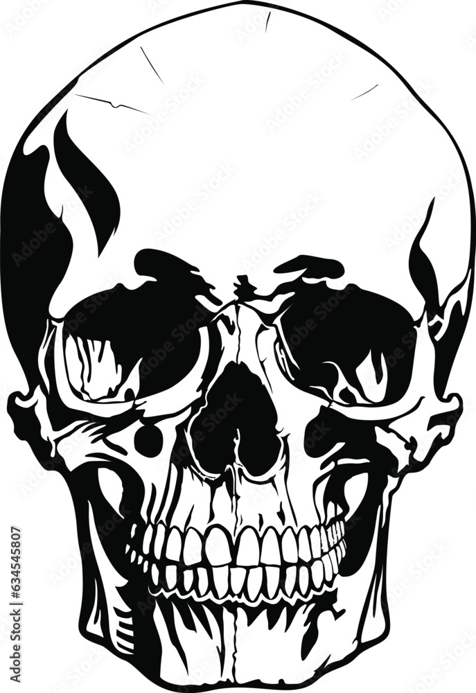 Obraz premium Black and white human skull