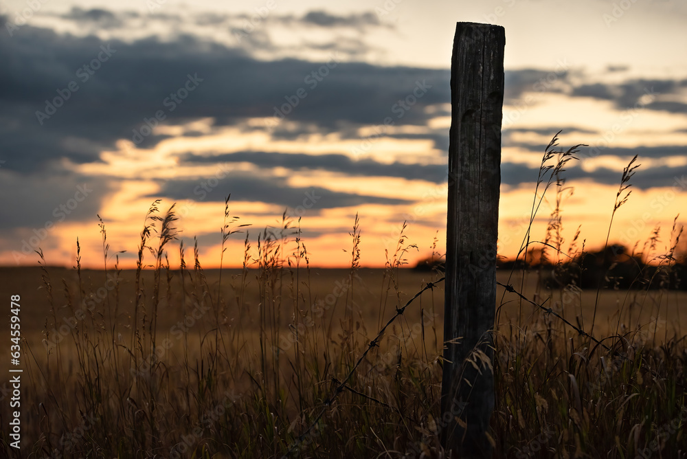 Silhouette of a fence post surrounded by wild grass with a wheat field in the background after sunset on the Saskatchewan prairies