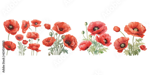 watercolor red poppy clipart for graphic resources