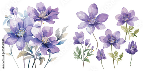 watercolor purple flower clipart for graphic resources