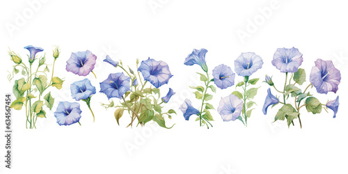 watercolor morning glory flower clipart for graphic resources