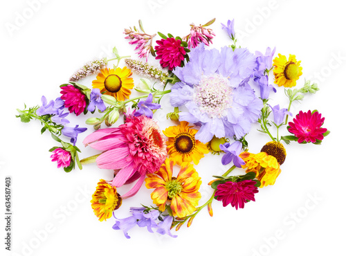 Summer blossom wildflowers isolated on white background. Floral texture backg...