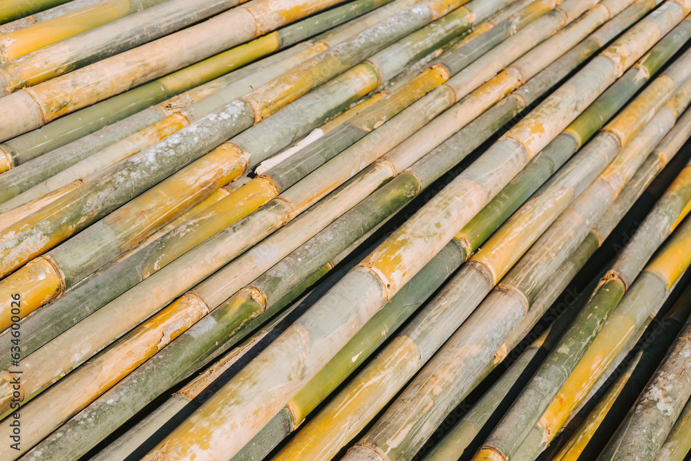 Bamboo building materials for construction