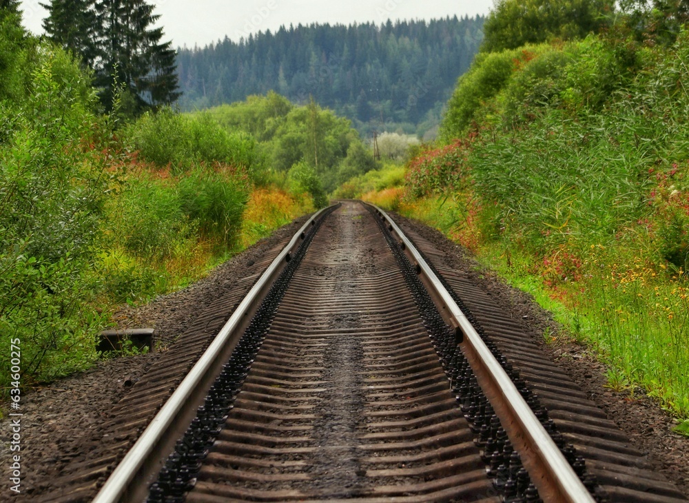 railway in the forest