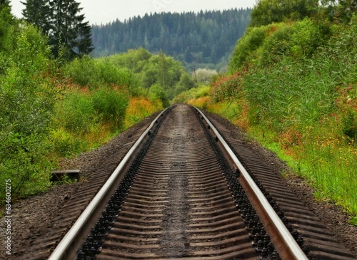 railway in the forest